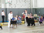 Превью фото № 155133