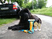 Превью фото № 155135