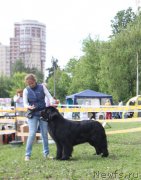 Превью фото № 155136