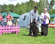 Превью фото № 155202