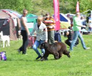 Превью фото № 155207