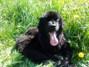 Превью фото № 155266