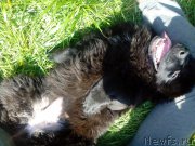 Превью фото № 155269