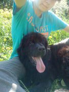 Превью фото № 155271