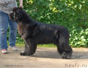 Превью фото № 155282