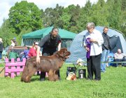 Превью фото № 155297