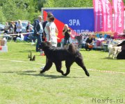 Превью фото № 155298