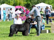 Превью фото № 155301