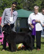 Превью фото № 155318