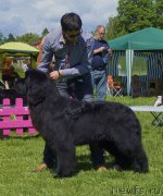 Превью фото № 155331