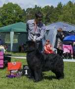 Превью фото № 155334