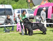 Превью фото № 155351