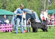 Превью фото № 155357