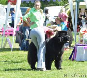 Превью фото № 155359