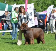 Превью фото № 155361