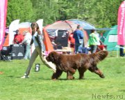 Превью фото № 155363