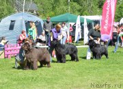 Превью фото № 155423