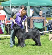 Превью фото № 155426