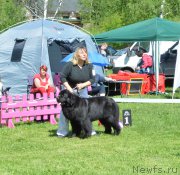 Превью фото № 155428