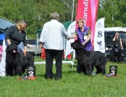 Превью фото № 155431