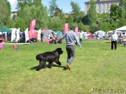 Превью фото № 155433