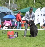 Превью фото № 155434
