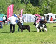 Превью фото № 155435