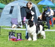 Превью фото № 155439