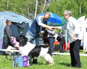 Превью фото № 155445