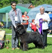 Превью фото № 155468