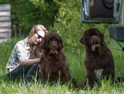 Превью фото № 155471