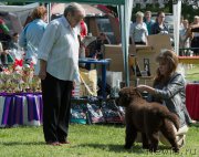 Превью фото № 155479