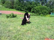 Превью фото № 155492