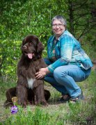 Превью фото № 155507