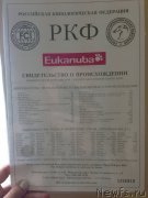 Превью фото № 155558