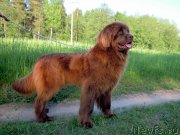 Превью фото № 155587