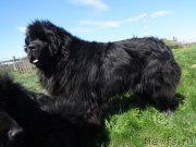 Превью фото № 155623