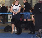 Превью фото № 155635