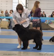 Превью фото № 155638