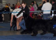 Превью фото № 155644