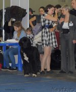 Превью фото № 155653