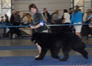 Превью фото № 155654