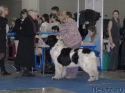 Превью фото № 155656