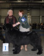 Превью фото № 155662