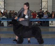 Превью фото № 155668