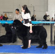 Превью фото № 155688