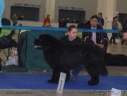 Превью фото № 155689