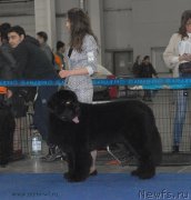 Превью фото № 155710