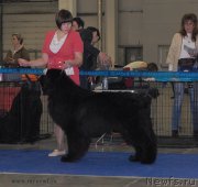 Превью фото № 155712