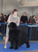 Превью фото № 155723